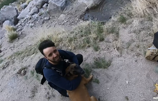 Maricopa County Sheriff's Aviation Division Conducts Dramatic Helicopter Rescue of Injured Dog in Superstition Mountains