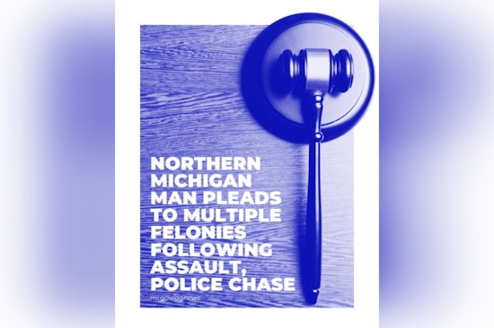 Marion Man Pleads No Contest to Felony Charges Following Assault, Police Chase in Northern Michigan