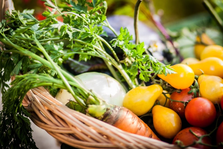 Massachusetts Invests Over $22 Million to Strengthen Local Food Systems and Combat Food Insecurity