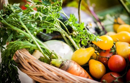 Massachusetts Invests Over $22 Million to Strengthen Local Food Systems and Combat Food Insecurity