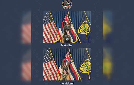 Maui Police Department Bolsters Force with Highly-Trained K9s Specialized in Less-Lethal Tactics