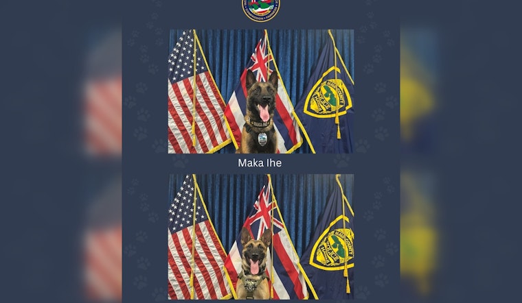 Maui Police Department Bolsters Force with Highly-Trained K9s Specialized in Less-Lethal Tactics
