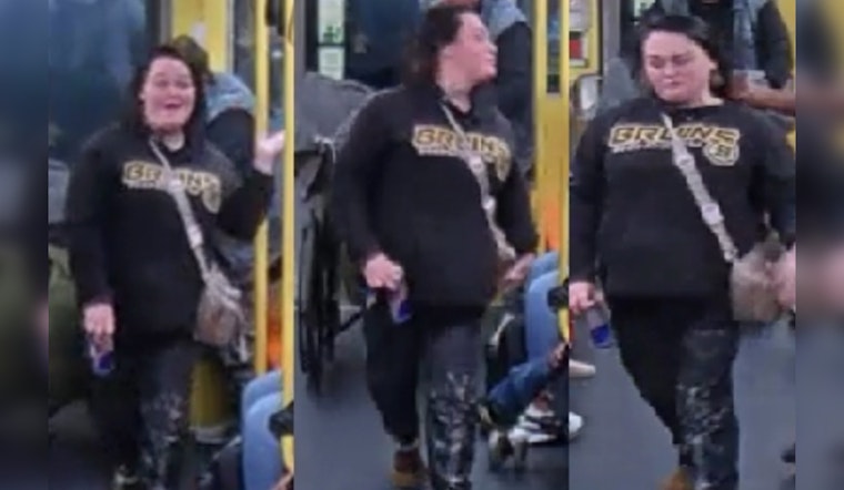 MBTA Transit Police Seek Public Help to Identify Suspect in Orange Line Assault at State Street Station