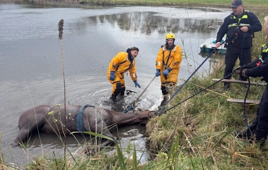McHenry Firefighters Heroically Rescue Horse from Mud at Hickory Creek Farm