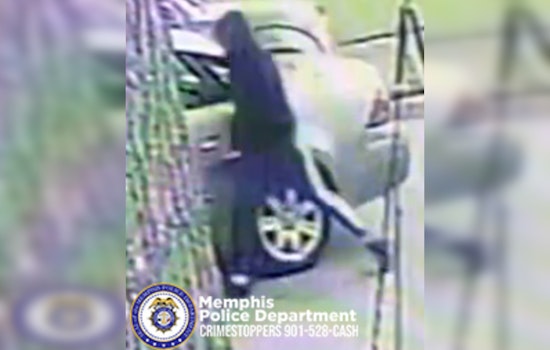 Memphis Police Investigating Auto Burglary in Sugar Maple Cove and Requesting Public Assistance