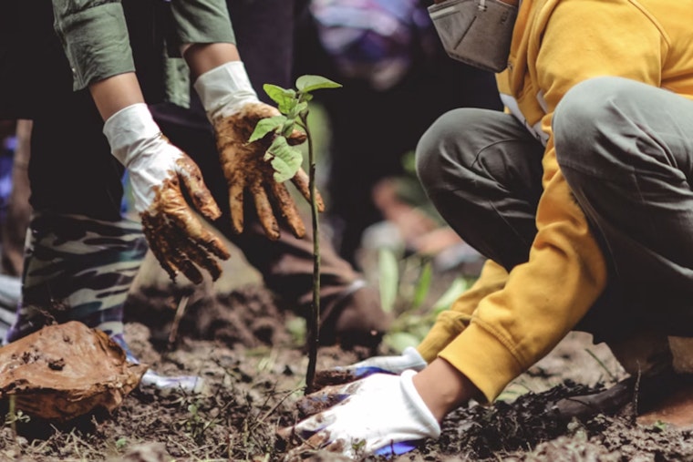 Mesa Community Plants 100 Trees at Reed Park in Effort to Beat the Heat and Boost Ecosystem
