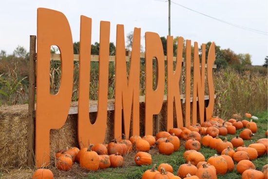 Mesquite's Annual PumpkinFest Canceled Due to Weather, Leaving Community to Reschedule Fall Plans