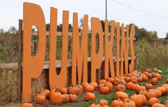 Mesquite's Annual PumpkinFest Canceled Due to Weather, Leaving Community to Reschedule Fall Plans