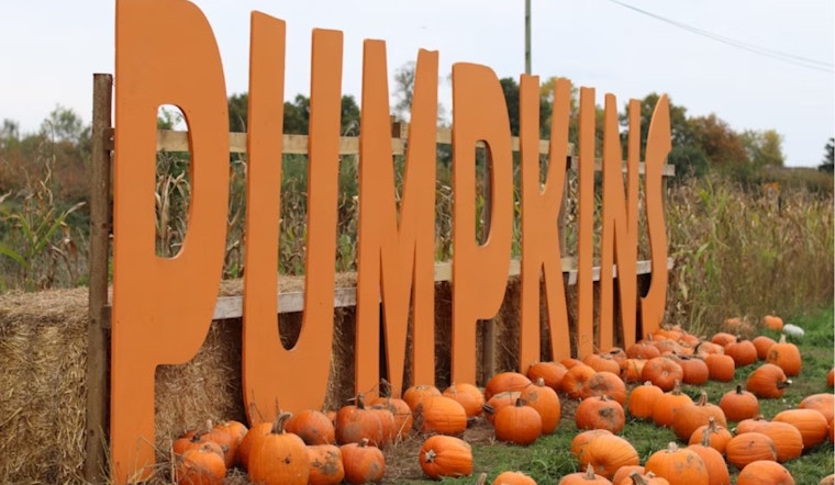 Mesquite's Annual PumpkinFest Canceled Due to Weather, Leaving Community to Reschedule Fall Plans