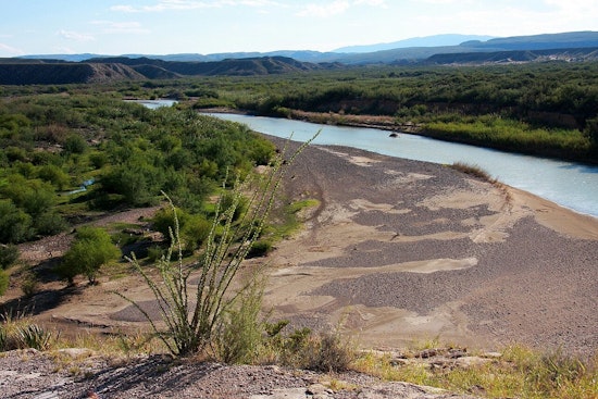 Mexican Woman Succumbs to Cancer After Being Apprehended Crossing Rio Grande into Texas