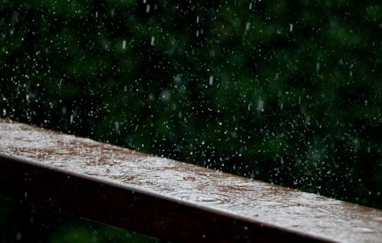 Miami Braces for Showers and Potential Flooding, with Weekend Weather Reprieve in Sight