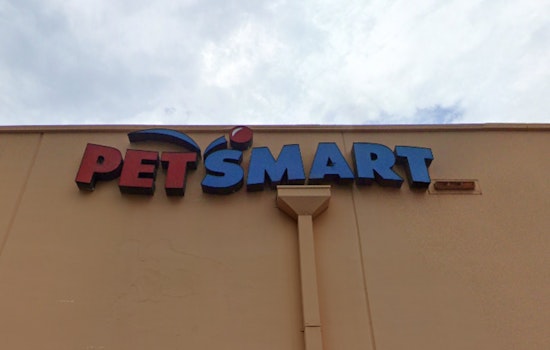Miami-Dade Animal Services Joins PetSmart Charities for National Adoption Week to Find Homes for Pets