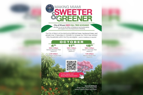Miami Distributes 500 Trees in October to Combat Extreme Heat and Expand Urban Canopy