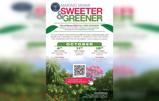 Miami Distributes 500 Trees in October to Combat Extreme Heat and Expand Urban Canopy