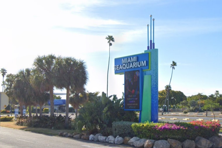 Miami Seaquarium to Shut Down After 70 Years Amid Controversy and Financial Woes