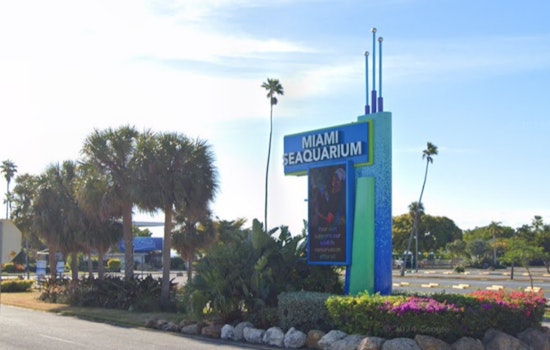 Miami Seaquarium to Shut Down After 70 Years Amid Controversy and Financial Woes