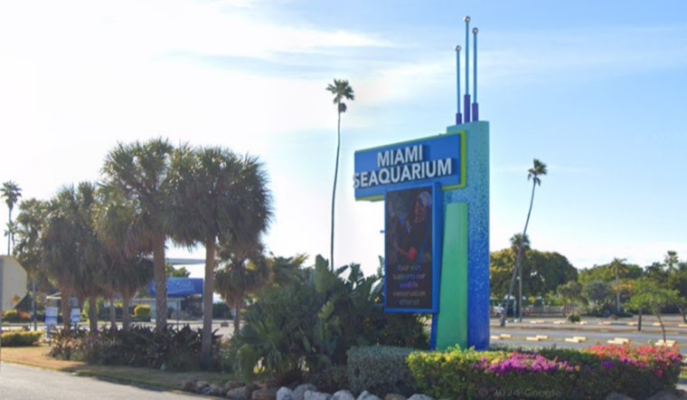 Miami Seaquarium to Shut Down After 70 Years Amid Controversy and Financial Woes
