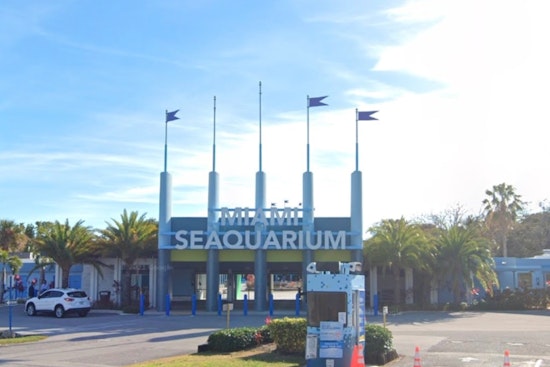 Miami Seaquarium to Shut Down Amid Financial Struggles and Animal Welfare Concerns