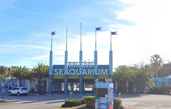 Miami Seaquarium to Shut Down Amid Financial Struggles and Animal Welfare Concerns