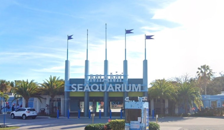 Miami Seaquarium to Shut Down Amid Financial Struggles and Animal Welfare Concerns