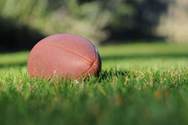 Michigan Panthers to Leave Ford Field, UFL Cites Stadium Constraints for Relocation Decision