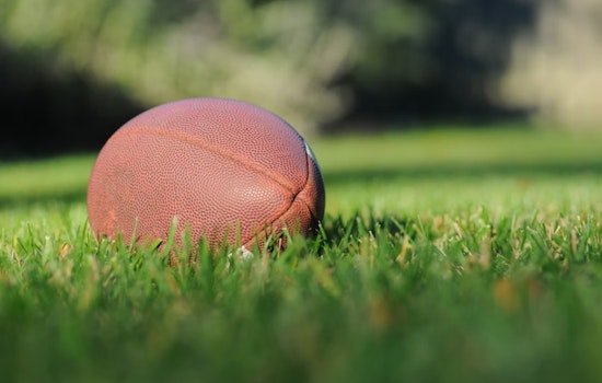 Michigan Panthers to Leave Ford Field, UFL Cites Stadium Constraints for Relocation Decision