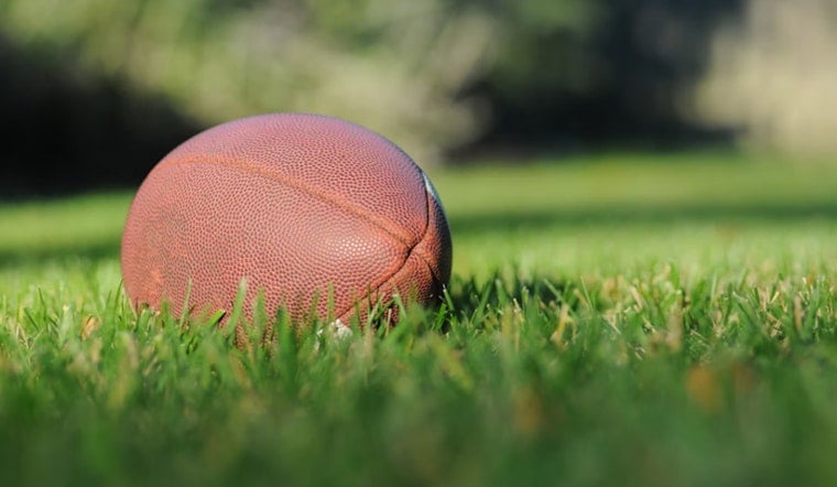 Michigan Panthers to Leave Ford Field, UFL Cites Stadium Constraints for Relocation Decision