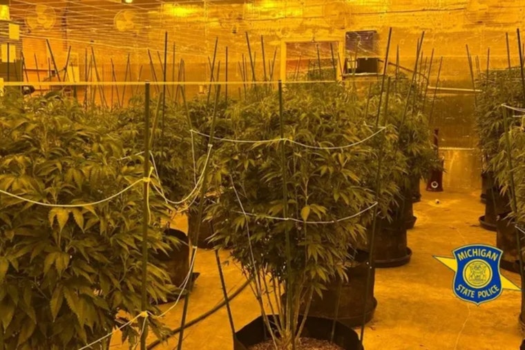 Michigan State Police Dismantle Multi-County Illegal Marijuana Operations, Two Suspects Charged