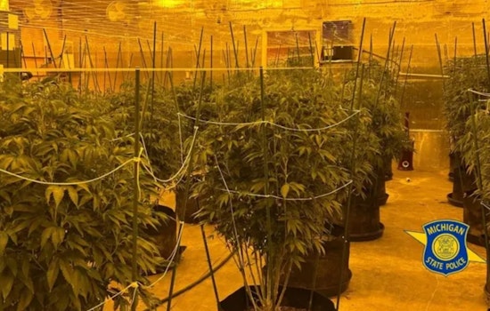 Michigan State Police Dismantle Multi-County Illegal Marijuana Operations, Two Suspects Charged