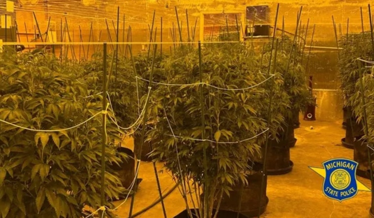 Michigan State Police Dismantle Multi-County Illegal Marijuana Operations, Two Suspects Charged