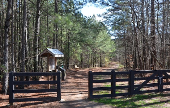 Milton City Council to Deliberate on Birmingham Park Enhancements During Upcoming Meeting