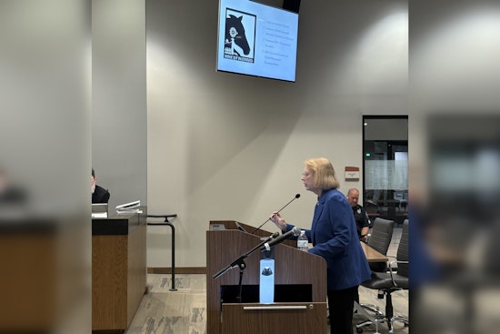 Milton Council Mulls Incentives to Preserve Large Lot Rural Character; Recognizes Undefeated Junior Eagles Volleyball Team