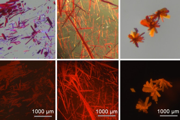 MIT Chemists Pioneer Fluorescent Dye for Enhanced Biomedical Imaging and High-Tech Applications