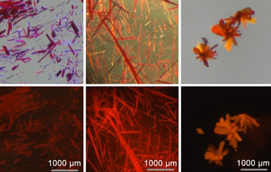 MIT Chemists Pioneer Fluorescent Dye for Enhanced Biomedical Imaging and High-Tech Applications