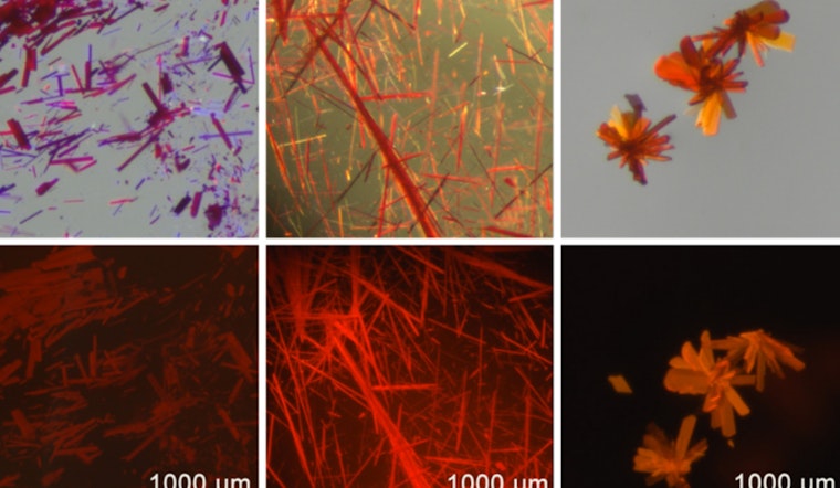 MIT Chemists Pioneer Fluorescent Dye for Enhanced Biomedical Imaging and High-Tech Applications