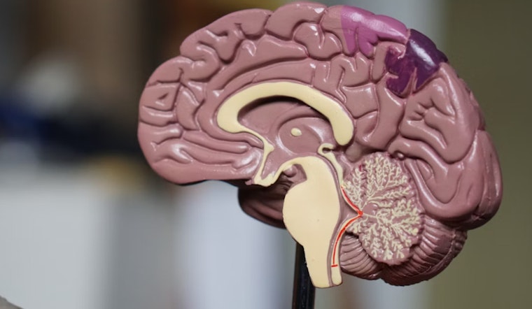 MIT Launches Rare Brain Disorders Nexus, Aiming for Breakthroughs in Rare Disease Research
