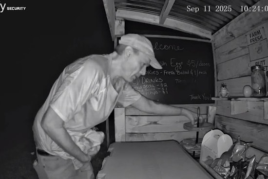 Monroe County Sheriff Seeks Public's Help to Identify Suspect in Vonore Produce Stand Theft, Offers Support