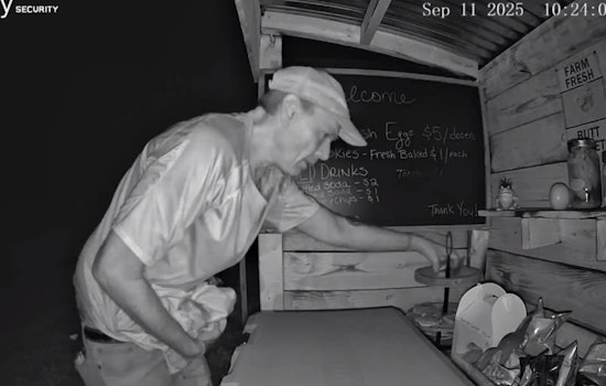 Monroe County Sheriff Seeks Public's Help to Identify Suspect in Vonore Produce Stand Theft, Offers Support