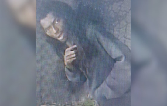 Montgomery County Detectives Seek Public's Help in Veirs Mill Road Commercial Burglary Case