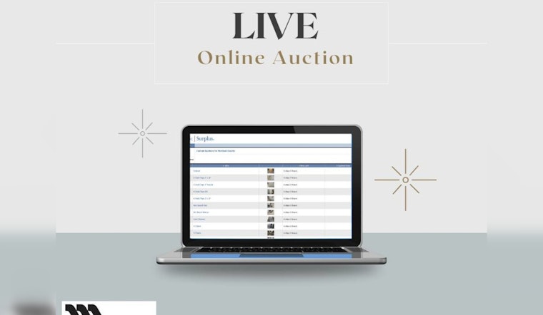Morrison County Sparks Bidding Excitement with Official Live Auction of Unique Finds and Practical Tools