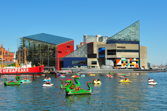 National Aquarium in Baltimore Set to Reopen Saturday After Power Outage Fixes