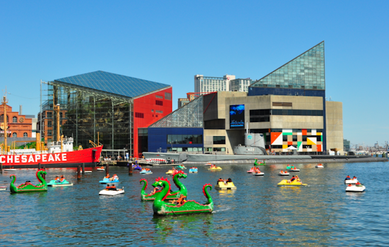 National Aquarium in Baltimore Set to Reopen Saturday After Power Outage Fixes