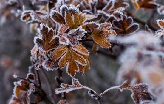 National Weather Service Issues Frost Advisory for Oklahoma City, Shawnee, and Surrounding Areas