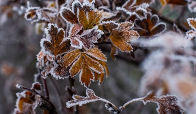 National Weather Service Issues Frost Advisory for Oklahoma City, Shawnee, and Surrounding Areas