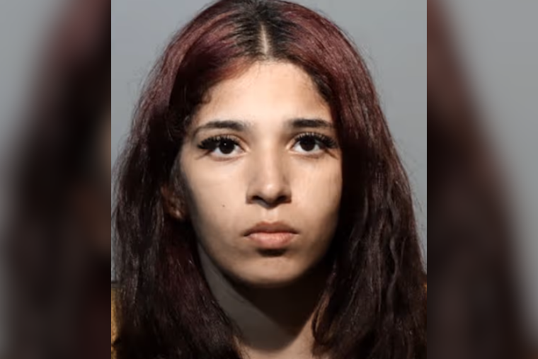 New Jersey Attempted Homicide Suspects Arrested After Interrupting Traffic in Seminole County, Florida