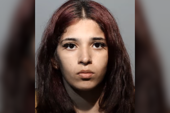 New Jersey Attempted Homicide Suspects Arrested After Interrupting Traffic in Seminole County, Florida