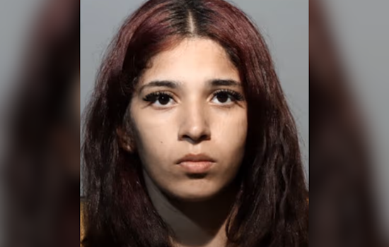 New Jersey Attempted Homicide Suspects Arrested After Interrupting Traffic in Seminole County, Florida