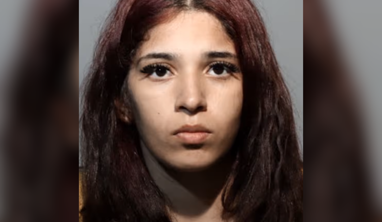 New Jersey Attempted Homicide Suspects Arrested After Interrupting Traffic in Seminole County, Florida