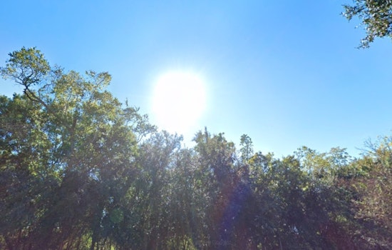 New Orleans Enjoys Pleasant Weather Before Weekend Storms and Cooler Days Ahead