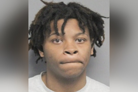 New Orleans Police Department Seeks Public Help to Locate Suspect Dawand Wilson in Armed Carjacking Case